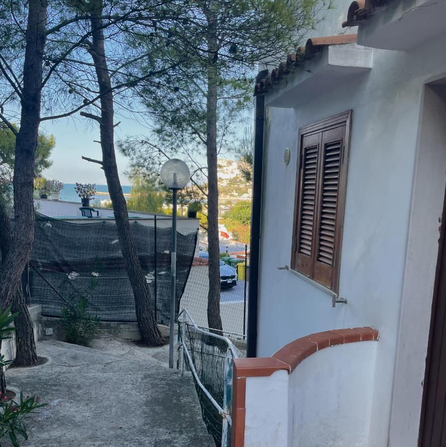 Residence Montepucci 佩斯基奇 外观 照片